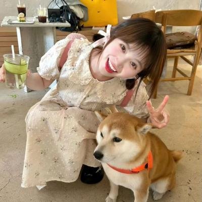 乔伊2024
